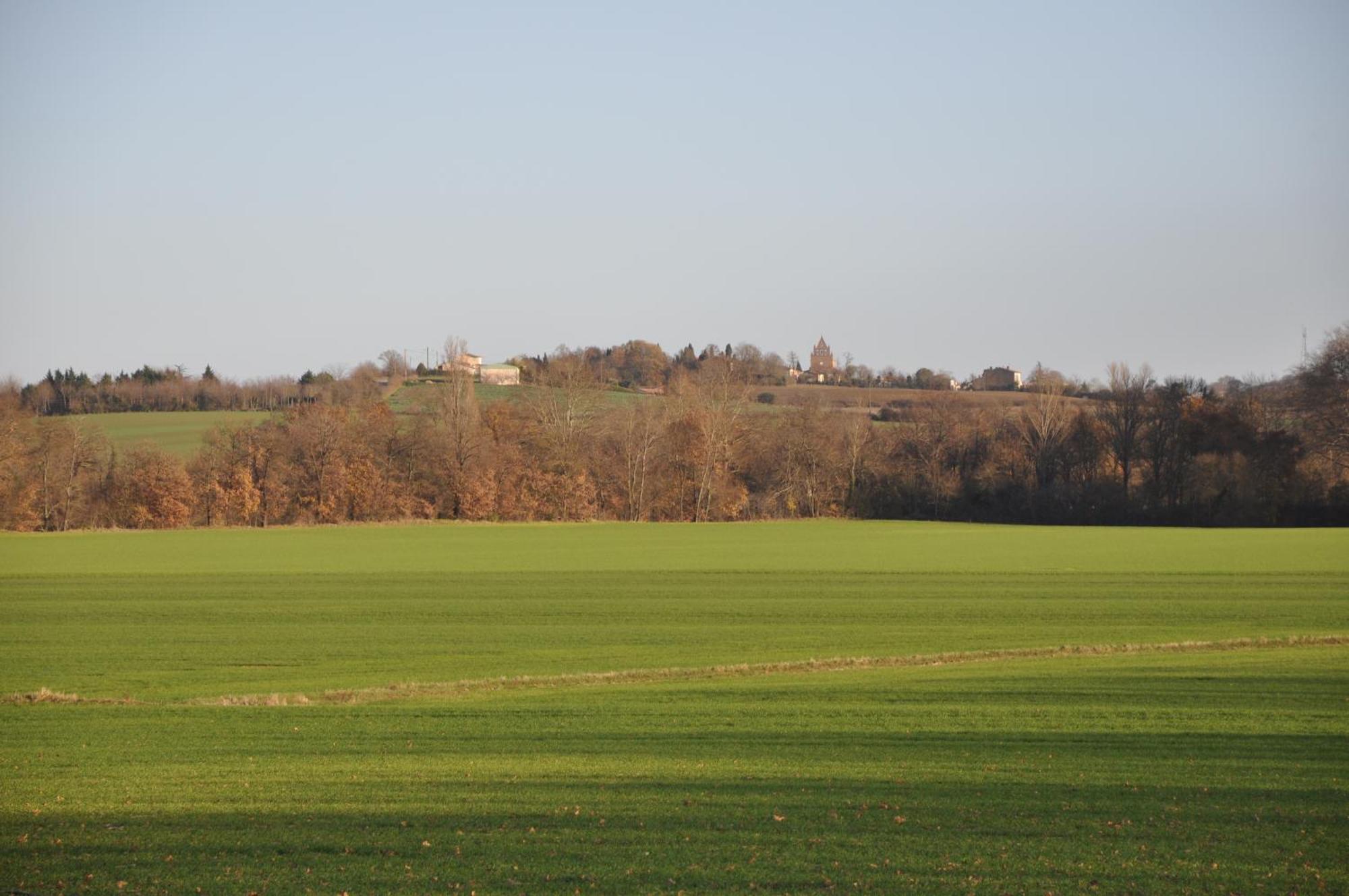Domaine De Hurlevent Montgaillard-Lauragais Zewnętrze zdjęcie