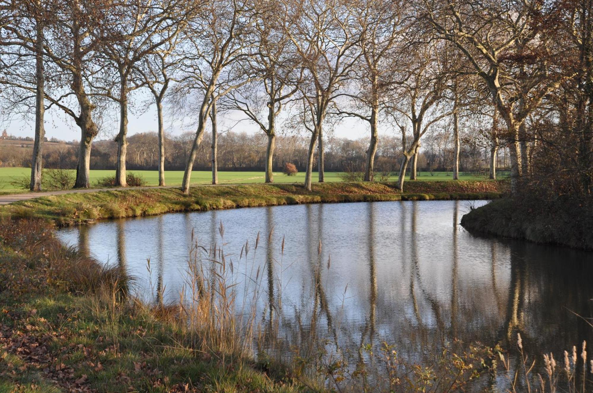 Domaine De Hurlevent Montgaillard-Lauragais Zewnętrze zdjęcie